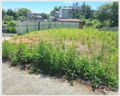  2024Ÿ��69516  �Ӿ߰��