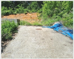  2024Ÿ��69516  �Ӿ߰��