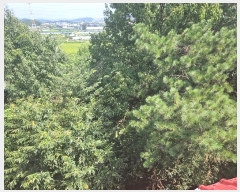  2024Ÿ78398  ֽ  44-4       (Ӿ)