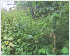  2024Ÿ78398  ֽ  44-4       (Ӿ)