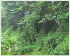  2024Ÿ78398  ֽ  44-4       (Ӿ)