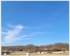  2024Ÿ84966  ֽ  븮 93      (Ӿ)