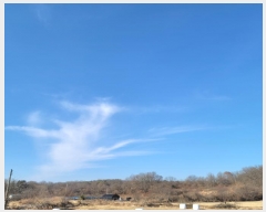  2024Ÿ84966  ֽ  븮 93      (Ӿ)