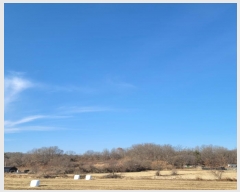  2024Ÿ84966  ֽ  븮 93      (Ӿ)