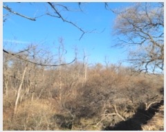  2024Ÿ84966  ֽ  븮 93      (Ӿ)