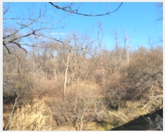  2024Ÿ84966  ֽ  븮 93      (Ӿ)