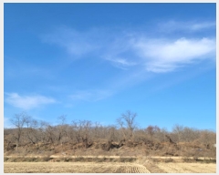  2024Ÿ84966  ֽ  븮 93      (Ӿ)