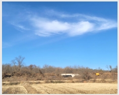  2024Ÿ84966  ֽ  븮 93      (Ӿ)