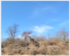  2024Ÿ84966  ֽ  븮 93      (Ӿ)