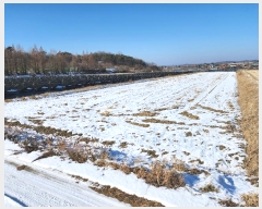  2024Ÿ87088  ֽ   1744      ()