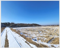  2024Ÿ87088  ֽ   1744      ()