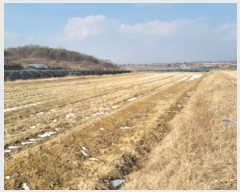  2024Ÿ87088  ֽ   1744      ()