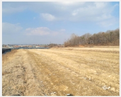  2024Ÿ87088  ֽ   1744      ()