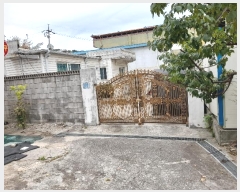  2024Ÿ6461  ֽ ո  421-3      ð