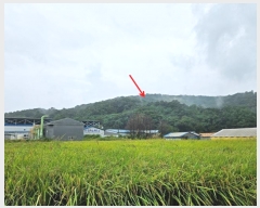  2024Ÿ��6690 ��� ���ֽ� ��ź�� �м��� ��70-2      ����(�Ӿ�)���