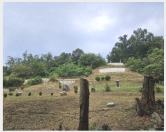  2024Ÿ��6690 ��� ���ֽ� ��ź�� �м��� ��70-2      ����(�Ӿ�)���