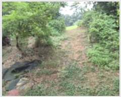  2024Ÿ��6706 ��� ����� ���籸 ���絿 ��117      ����(�Ӿ�)���