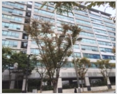  2024Ÿ81875   ϻ굿  13, 9903ȣ (鼮,ƶ߸ǽ)    ǽڰ