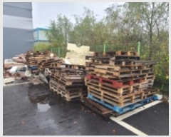  2024Ÿ82342  ֽ   1372-6      