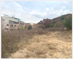  2024Ÿ��84324  �����