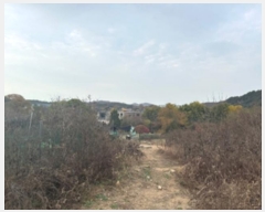  2024Ÿ��84324  �����