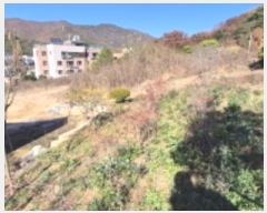  2024Ÿ��84324  �����