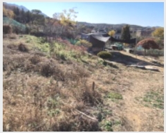  2024Ÿ��84324  �����