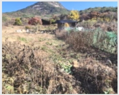  2024Ÿ��84324  �����