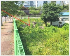  2024Ÿ��4281 ��� ���ֽ� �Ƶ��� 227       ����(��1)���