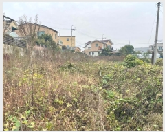  2024Ÿ7792   ϻ굿  205-1      (1)