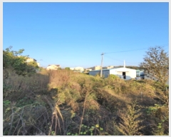  2024Ÿ7792   ϻ굿  205-1      (1)