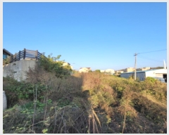  2024Ÿ7792   ϻ굿  205-1      (1)