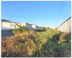  2024Ÿ7792   ϻ굿  205-1      (1)