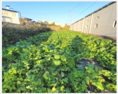  2024Ÿ7792   ϻ굿  205-1      (1)