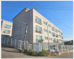  2024Ÿ��8009  �ټ���(����)���