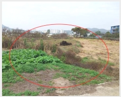  2024Ÿ8047  ֽ  ΰ 265-4      ()