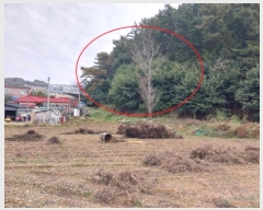  2024Ÿ8047  ֽ  ΰ 265-4      ()