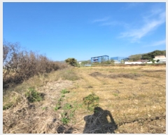  2024Ÿ8047  ֽ  ΰ 265-4      ()