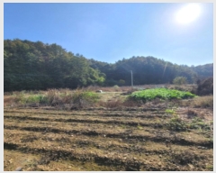  2024Ÿ8047  ֽ  ΰ 265-4      ()