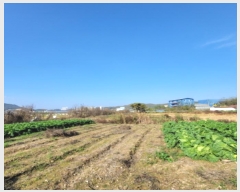  2024Ÿ8047  ֽ  ΰ 265-4      ()