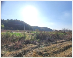  2024Ÿ8047  ֽ  ΰ 265-4      ()