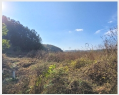  2024Ÿ8047  ֽ  ΰ 265-4      ()