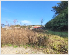  2024Ÿ8047  ֽ  ΰ 265-4      ()