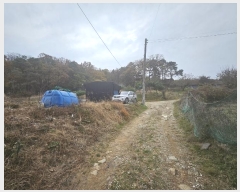  2024Ÿ��8221  �����