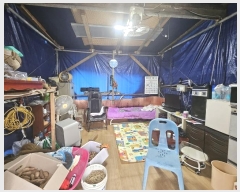  2024Ÿ��8221  �����