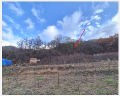  2024Ÿ8375  ֽ  õ 9      (Ӿ)