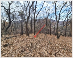  2024Ÿ8375  ֽ  õ 9      (Ӿ)