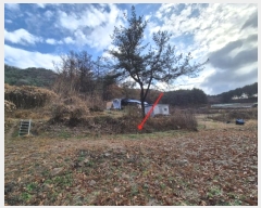  2024Ÿ8375  ֽ  õ 9      (Ӿ)