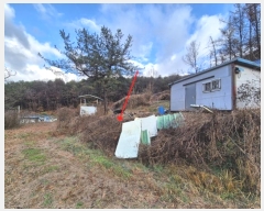  2024Ÿ8375  ֽ  õ 9      (Ӿ)