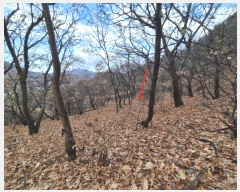  2024Ÿ8375  ֽ  õ 9      (Ӿ)